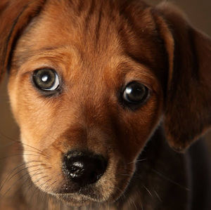 Meet your Posher, Carlee